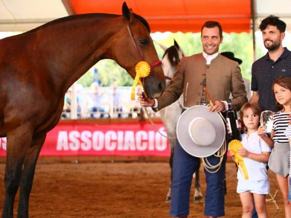 ENAMORADA-CXIX-YEGUADA-FUENLEZ3